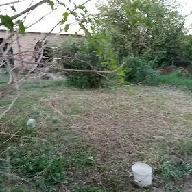 satlyk mellek