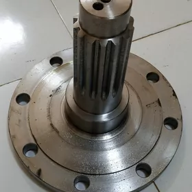 kelte polowos MTZ