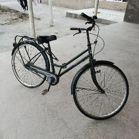 welik arginal yaponka