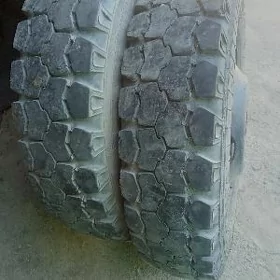 Gaz 53 .8.25R20.    2-ştuk