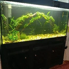 Аквариум Akwarium