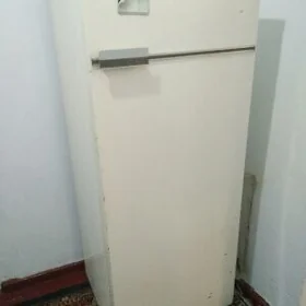 холодильник Бирюса