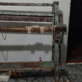 haly dokalyan stanok