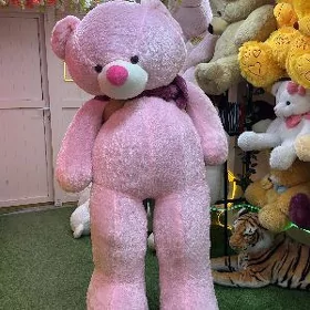 mishka мишка