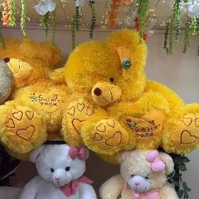 mishka мишка