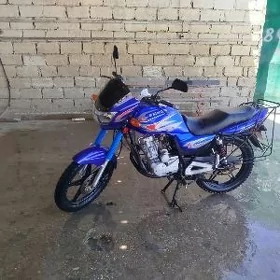 Fekon FK150-8G 2023