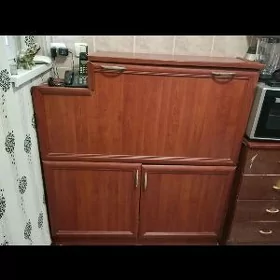 Kowus salynyan