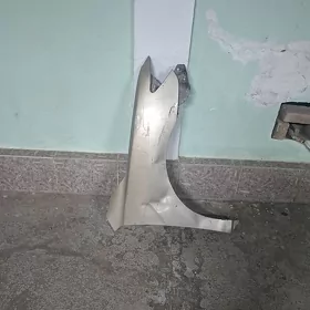 Okuz kelle krylo morda