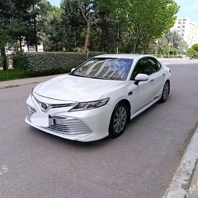 Toyota Camry 2019