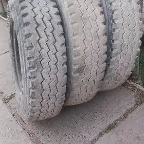 teker 12 00 20
