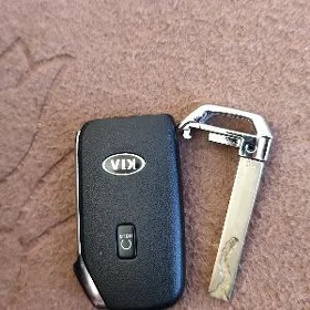 pult acar kia sorento