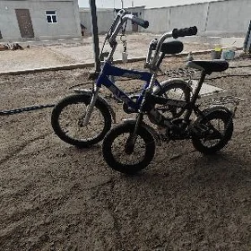 Tigir BWM