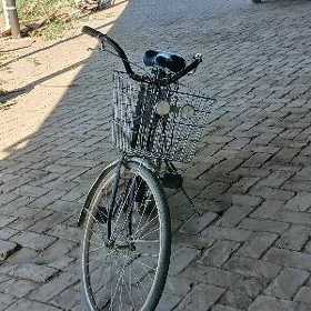 weloseped