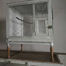 папугай клетка