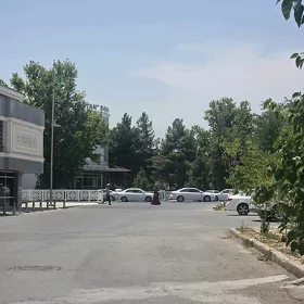 Talyp gyzlar ucin arenda kw