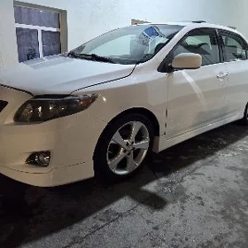 Toyota Corolla 2010