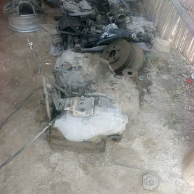 18 karynaň koropgasy