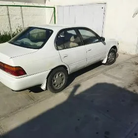 Toyota Corolla 1995
