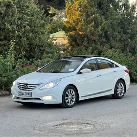 Hyundai Sonata 2010