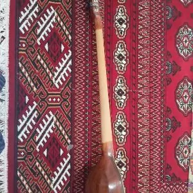 plektra dutar