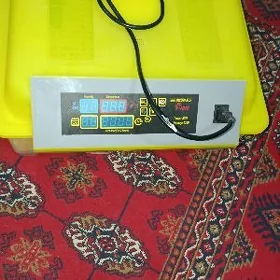 enkubator