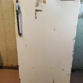 бирюса
