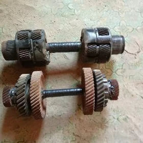 gantel