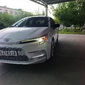Toyota Corolla 2024