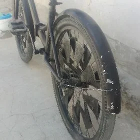 tiğit