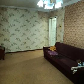 квартира