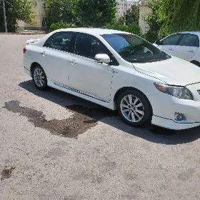 Toyota Corolla 2010