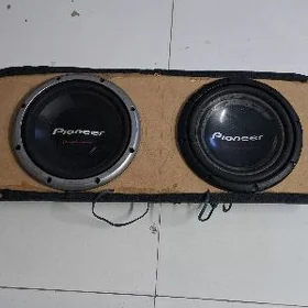 Bocha 2 sany 1000w