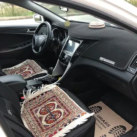 Hyundai Sonata 2010