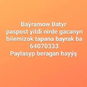 pasport yitdi