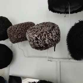 Telpek