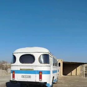 ПАЗ 3203 1992