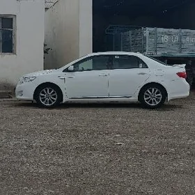 Toyota Corolla 2010