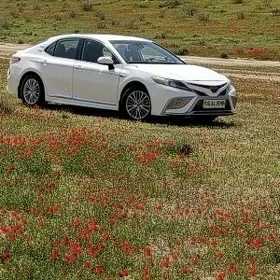 Toyota Camry 2020