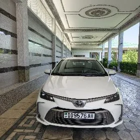 Toyota Corolla 2020