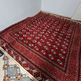 Turkmen Haly Taze