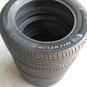 255/55/19/ Mishelin Ýyly24