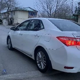 Toyota Corolla 2014