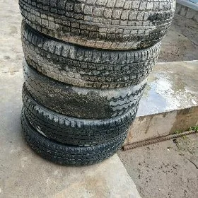 Gazel teker