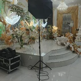 foto zontik