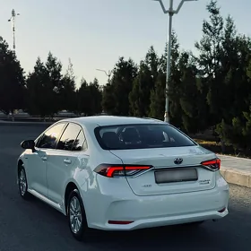 Toyota Corolla Hybrid 2023