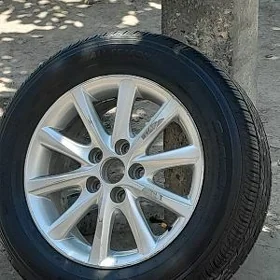 Öküz kelle xle 16