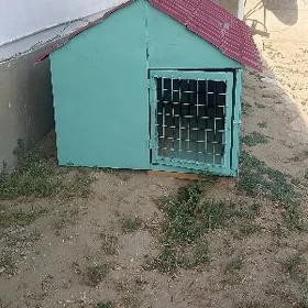 towuk.guş ketek
