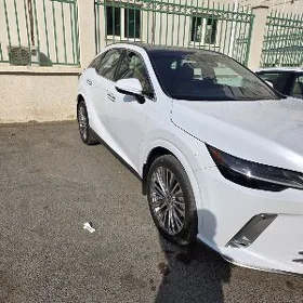 Lexus RX 350 2023