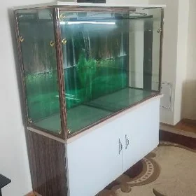 Akvarium