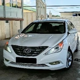 Hyundai Sonata 2010